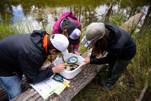 Students participating in an activity